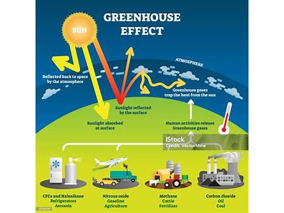 greenhouse environmental factors